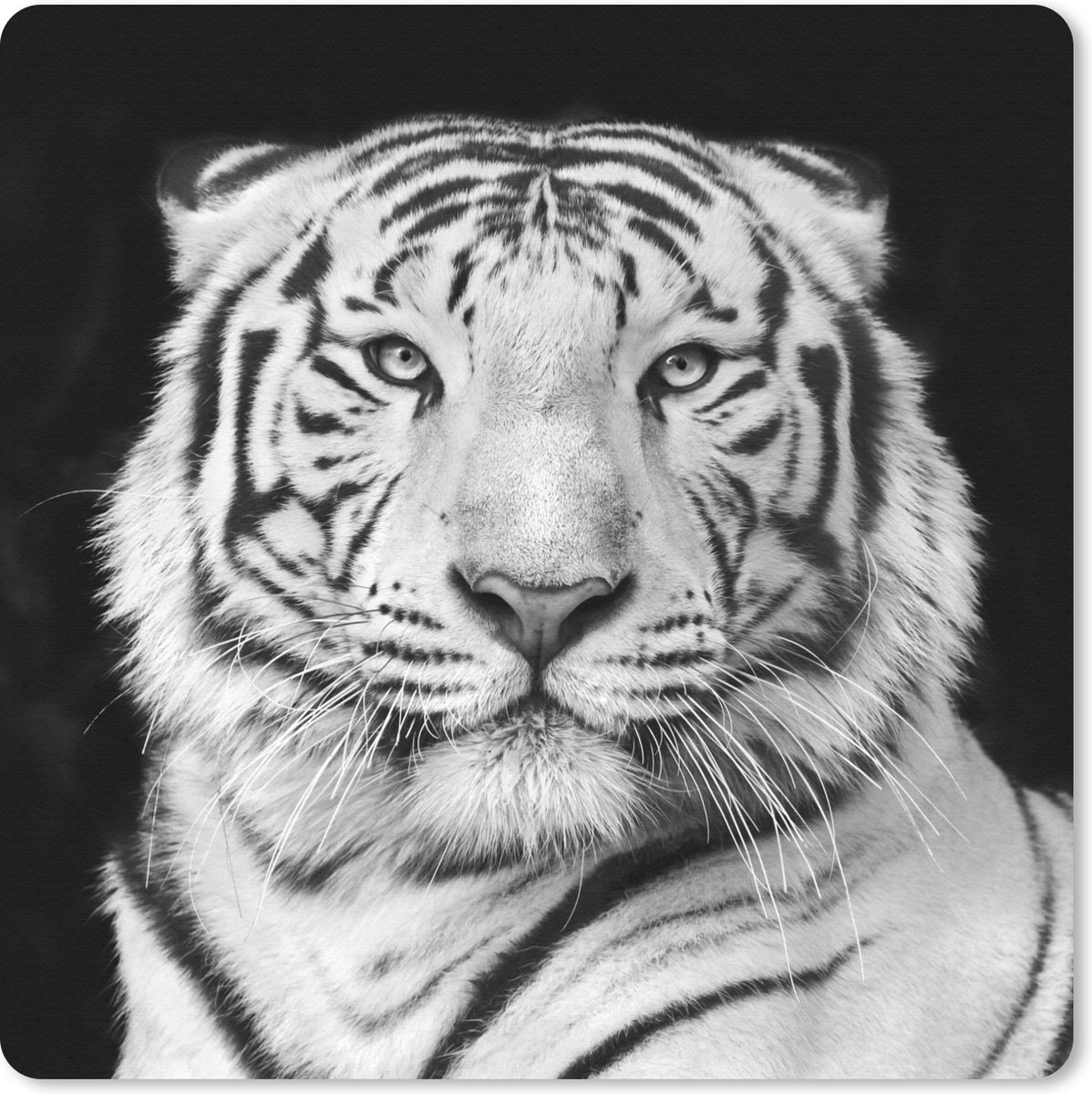 Muismat 30x30 cm - Mousepad Tijger - Zwart - Wit - Portret - Dieren - Muismatten