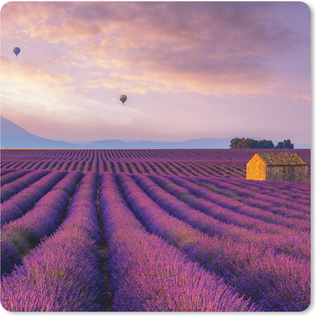 Muismat 20x20 cm - Mousepad Lavendel - Luchtballon - Berg - Paars - Muismatten