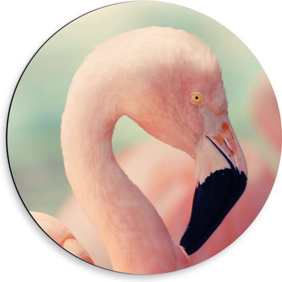 WallClassics - Dibond Muurcirkel - Hoofd van een Roze Flamingo - 50x50 cm Foto op Aluminium Muurcirkel (met ophangsysteem)