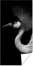 Poster Kraanvogel - Zwart - Wit - Vogel - Dieren - 40x80 cm