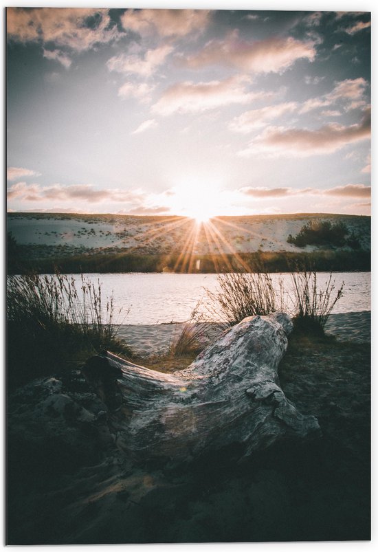 WallClassics - Dibond - Ondergaande Zon aan Duinen - 70x105 cm Foto op Aluminium (Met Ophangsysteem)