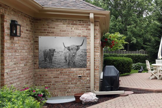 Affiche de jardin - Toile de jardin - Posters de jardin extérieur - Highlanders écossais - Lumière - Air - Nature - 120x80 cm - Jardin