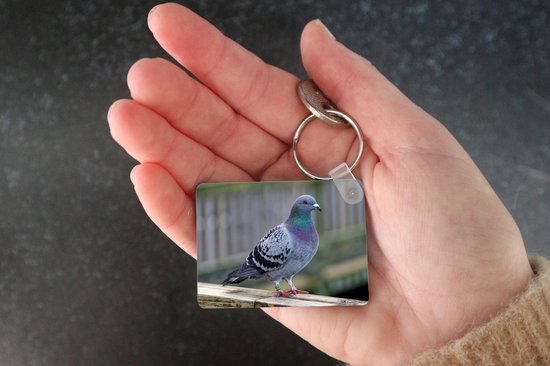 WEVENI Llavero acrílico de Alpaca de América del Sur, anillo de joyería