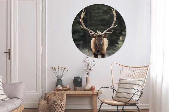 Wallpaper Circle - Cerf - Arbre - Bois - ⌀ 120 cm - Wall Circle - Auto-adhésif - Round Wallpaper Sticker XXL