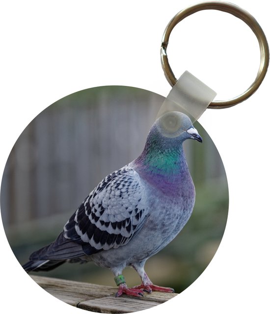 WEVENI Acryl Cartoon Blauwe Duif Vogel Sleutelhangers Sleutelhanger