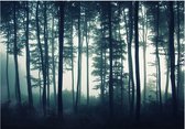 Papier peint photo - Forêt Sombre.