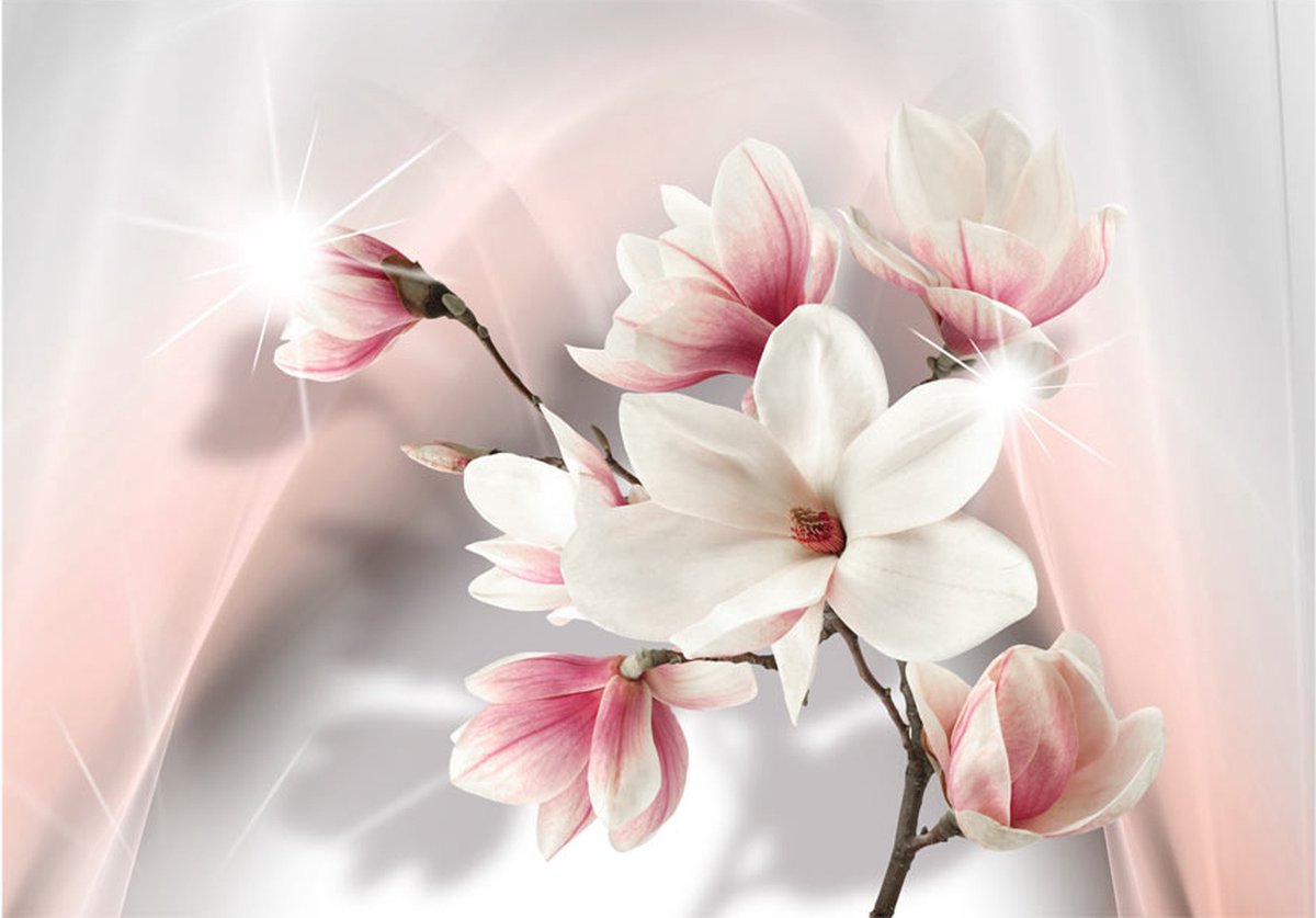 Fotobehang - White magnolias.