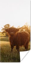 Poster Schotse hooglander - Gras - Zon - 20x40 cm