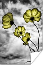 Poster Bloemen - Zwart - Wit - Geel - 40x60 cm