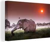 Canvas Schilderij Grazende olifant - 60x40 cm - Wanddecoratie