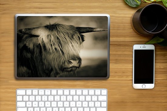Autocollant pour ordinateur portable - 10,1 pouces - Highlander écossais - Animaux - Cheveux - 25x18cm - Autocollants pour ordinateur portable - Peau pour ordinateur portable - Couverture
