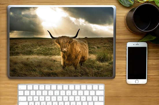 Laptop sticker - 15.6 inch - Schotse Hooglander - Zon - Dieren - 36x27,5cm - Laptopstickers - Laptop skin - Cover