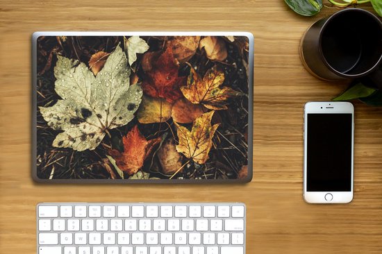 Laptop sticker - 14 inch - Herfstbladeren - Herfst - Seizoenen - Natuur - 32x5x23x5cm - Laptopstickers - Laptop skin - Cover
