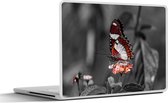 Laptop sticker - 14 inch - Vlinder - Dieren - Bloemen - Zwart wit - Oranje - 32x5x23x5cm - Laptopstickers - Laptop skin - Cover