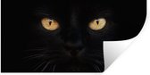 Muurstickers - Sticker Folie - Close-up zwarte kat - 120x60 cm - Plakfolie - Muurstickers Kinderkamer - Zelfklevend Behang - Zelfklevend behangpapier - Stickerfolie