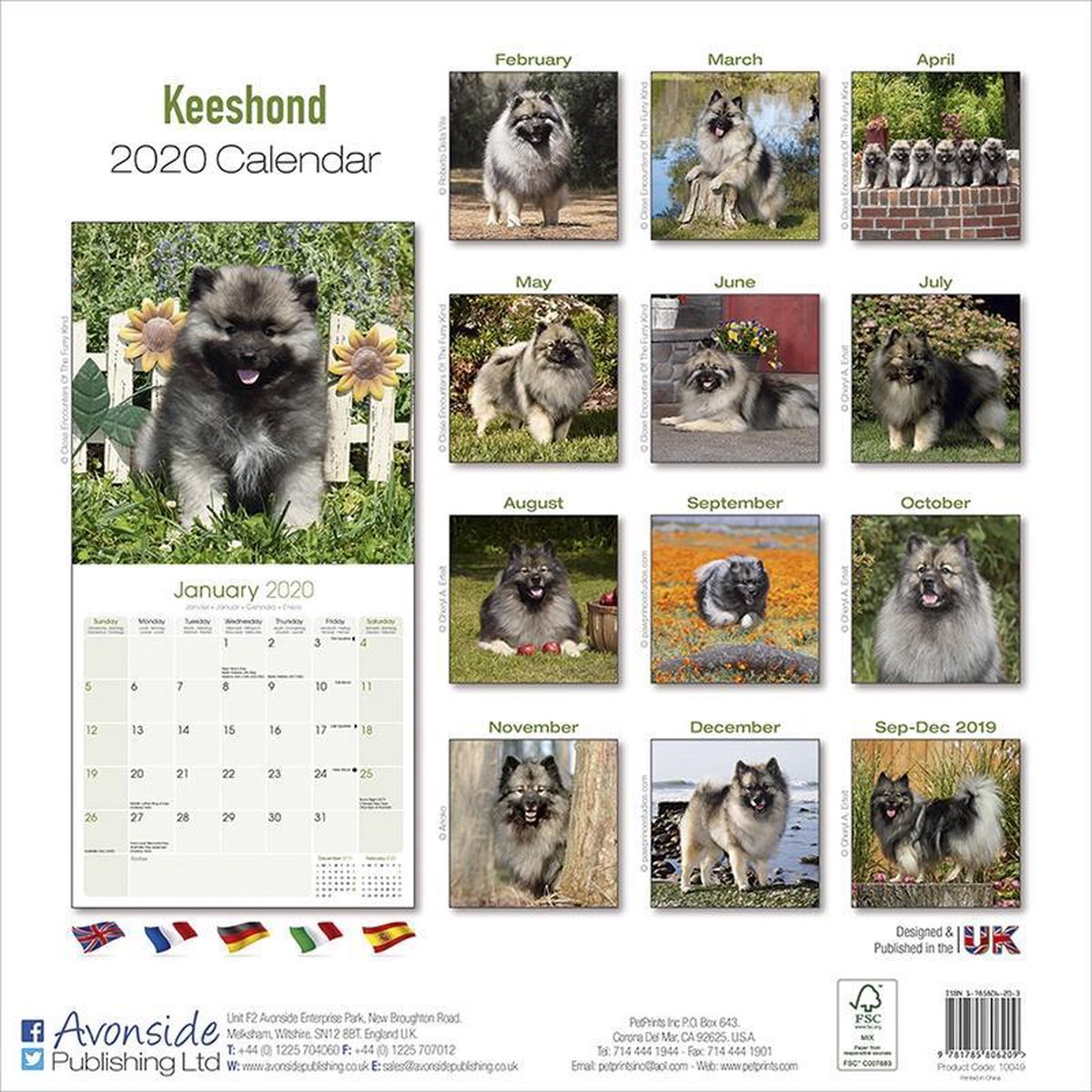 Keeshond Calendar 2020