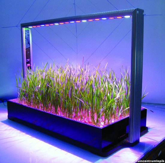 Parus M30 PRO Mini Farm Grow Light