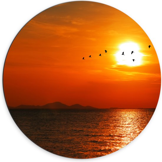 Dibond Muurcirkel - Silhouet van Zwerm Vogels bij Zonsondergang boven de Zee - 70x70 cm Foto op Aluminium Muurcirkel (met ophangsysteem)