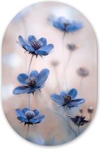 Cosmos - Bloemen - Natuur - Blauw Kunststof plaat (5mm dik) - Ovale spiegel vorm op kunststof