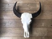 Skull echt buffel