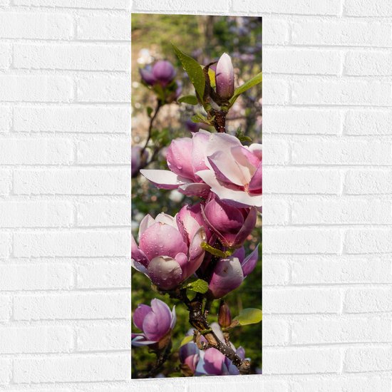 Muursticker - Roze Magnolia Bloemen aan Struik in het Veld - 30x90 cm Foto op Muursticker