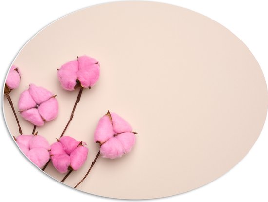 PVC Schuimplaat Ovaal - Roze Katoenbollen aan Takken tegen Lichtroze Achtergrond - 80x60 cm Foto op Ovaal (Met Ophangsysteem)