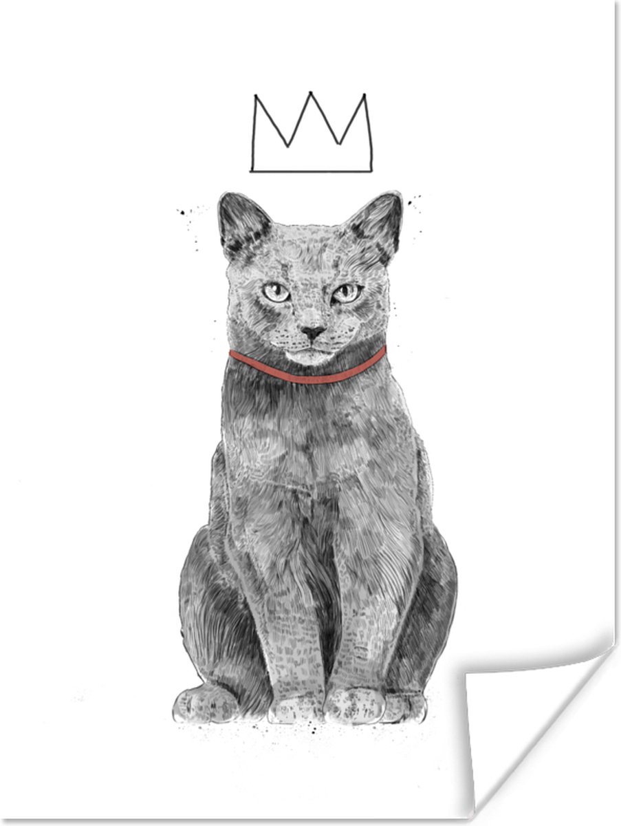 Poster Kat - Kroontje - Dieren - Wit - 30x40 cm