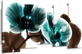 GroepArt - Canvas Schilderij - Orchidee - Groen, Wit - 150x80cm 5Luik- Groot Collectie Schilderijen Op Canvas En Wanddecoraties