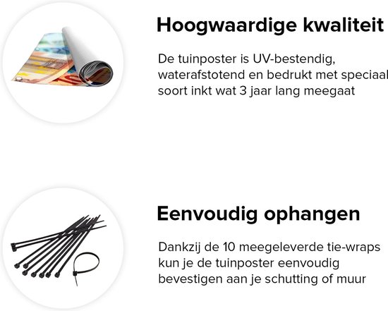 Gards Affiche de Jardin Billets Euro - Billets - 100x100 cm - Toile de Jardin - Décoration de jardin - Décoration murale Extérieure - Tableau Jardin