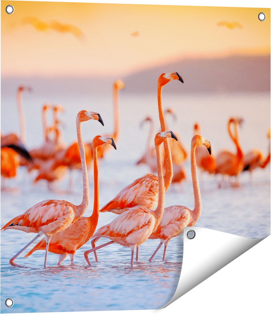 Gards Tuinposter Kudde Flamingo's in het Water - 60x60 cm - Tuindoek - Tuindecoratie - Wanddecoratie buiten - Tuinschilderij Multikleur