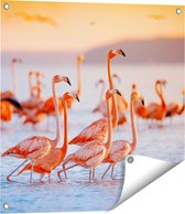 Gards Tuinposter Kudde Flamingo's in het Water - 60x60 cm - Tuindoek - Tuindecoratie - Wanddecoratie buiten - Tuinschilderij