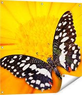 Gards Tuinposter Vlinder op een Oranje Bloem - 80x80 cm - Tuindoek - Tuindecoratie - Wanddecoratie buiten - Tuinschilderij