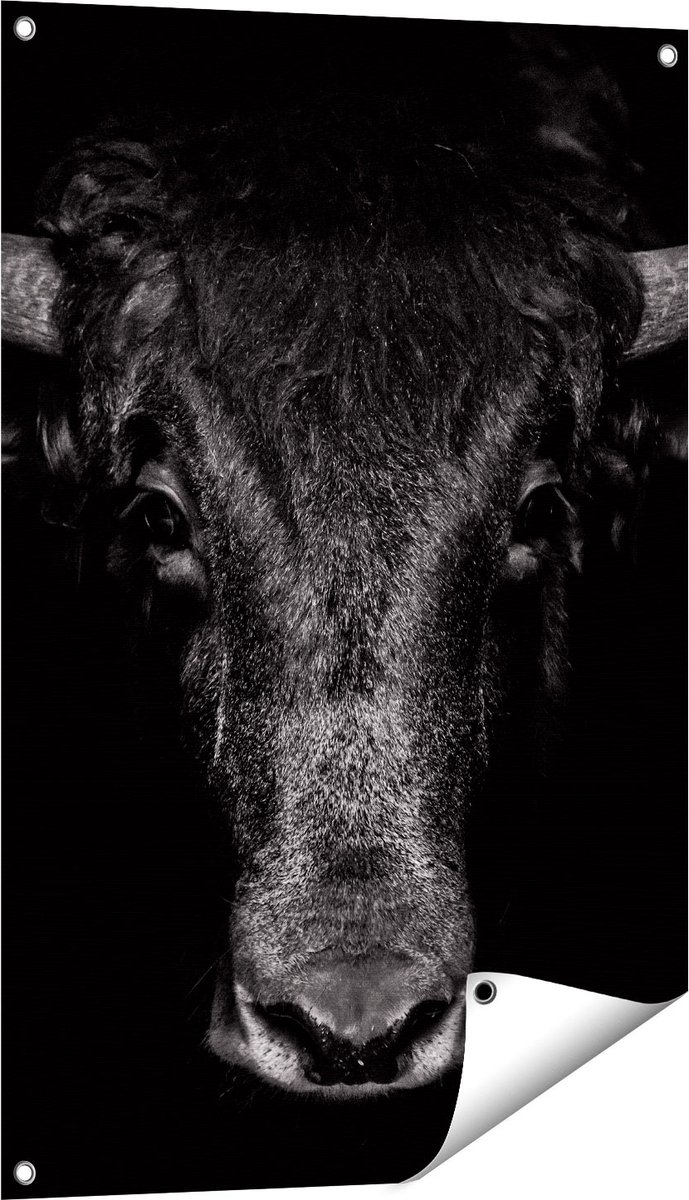 Gards Tuinposter Stierenkop - Stier - Zwart Wit - 60x90 cm - Tuindoek - Tuindecoratie - Wanddecoratie buiten - Tuinschilderij Multikleur