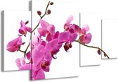 GroepArt - Schilderij -  Orchidee - Roze, Wit - 160x90cm 4Luik - Schilderij Op Canvas - Foto Op Canvas