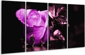 GroepArt - Glasschilderij - Roos - Paars, Wit, Zwart - 160x80cm 4Luik - Foto Op Glas - Geen Acrylglas Schilderij - 6000+ Glasschilderijen Collectie - Wanddecoratie