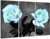 Glasschilderij Roos - Blauw, Grijs, Zwart - 120x80cm 3Luik - Foto Op Glas - Geen Acrylglas Schilderij - GroepArt 6000+ Glas Art Collectie - Maatwerk Mogelijk
