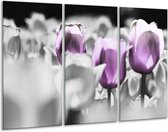 Glasschilderij Tulpen - Paars, Grijs, Wit - 120x80cm 3Luik - Foto Op Glas - Geen Acrylglas Schilderij - GroepArt 6000+ Glas Art Collectie - Maatwerk Mogelijk
