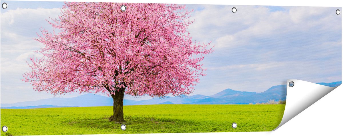 Gards Tuinposter Roze Sakura Bloesem Boom in het Groene Veld - 120x40 cm - Tuindoek - Tuindecoratie - Wanddecoratie buiten - Tuinschilderij Multikleur