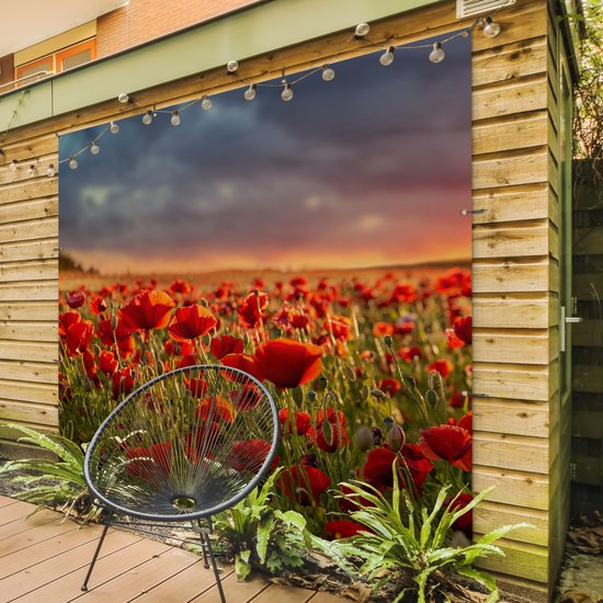 Affiche de Jardin Coucher de soleil - Coquelicots - Rouge - 200x200 cm