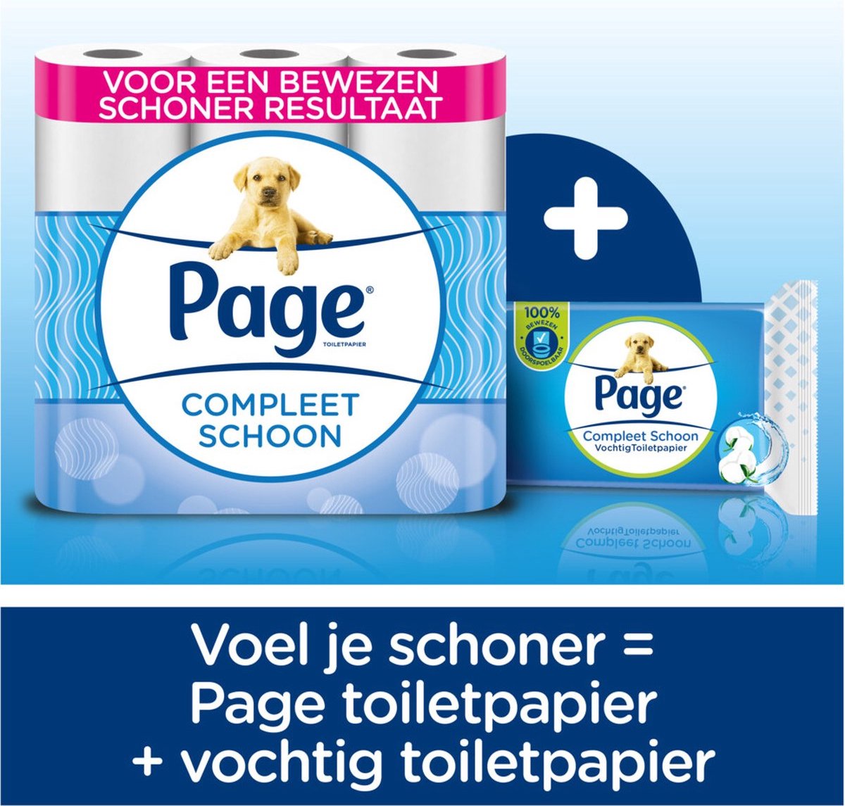 Page Complete Clean - Maxipack - Papier Toilette Humide - 100% jetable - 74  x 6 pièces