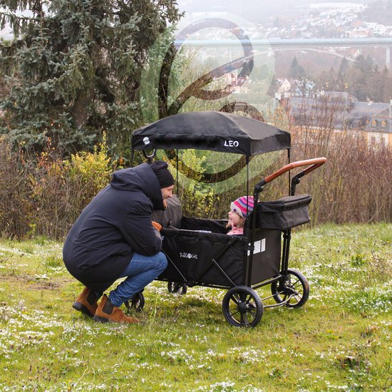 FableKids LEO X4 Plus - opvouwbare trolley met dak - 4 zitplaatsen - Onyx Black van Merkloos — afbeelding 5