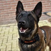 Halsband Gepersonaliseerd eigen naam - Bibi - Honden halsband Geborduurd - Tactical - Zwart - Hals 45-75 CM - geschikt voor iedere hondenriem - voor middel en grote honden - Best getest 2022 - 450KG Anti trek test - One Size