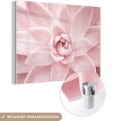 MuchoWow® Glasschilderij 120x90 cm - Schilderij acrylglas - Bloem - Roze - Natuur - Plant - Foto op glas - Schilderijen