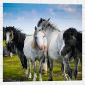 Muursticker - Kudde Wilde Paarden in Verschillende Kleuren onder Blauwe Lucht - 50x50 cm Foto op Muursticker