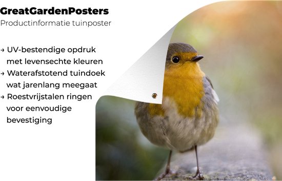 Tuinposter vogels - Roodborstje - Portret - Natuur - Tak - Tuindecoratie - Schuttingdoek - Schutting decoratie - Tuin - Tuinschilderij voor buiten - 50x50 cm - Tuindoek - Tuinposters buiten