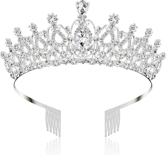 Betoverende diadeem Kroon met twee prachtige grote kristallen - Zijdelingse Kammen - Schitterende Accessoire voor Speciale Gelegenheden-zilver