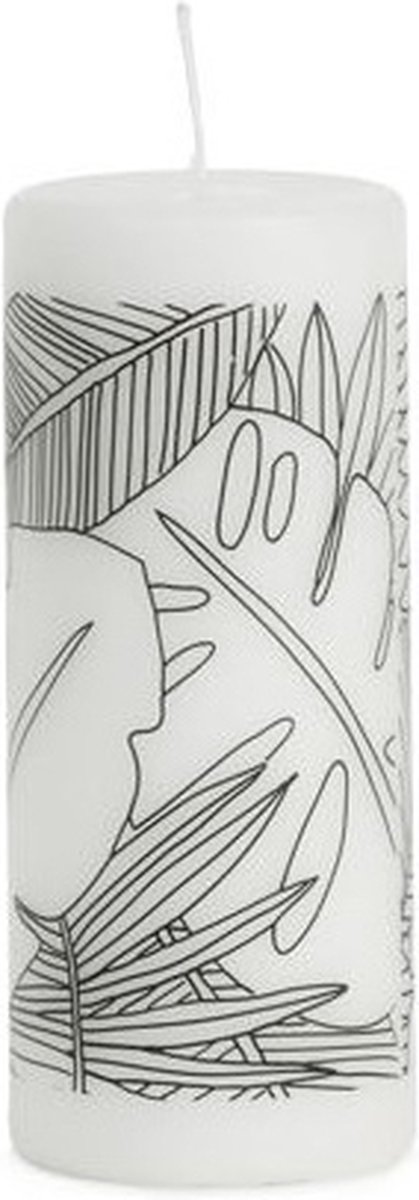 Stompkaars tropics 6x15 cm