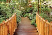 Fotobehang Forest Nature Path Bamboo | PANORAMIC - 250cm x 104cm | 130g/m2 Vlies