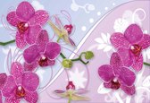 Fotobehang Orchid Flowers Pattern | XL - 208cm x 146cm | 130g/m2 Vlies