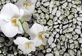 Fotobehang Flowers Orchids Stones | XXXL - 416cm x 254cm | 130g/m2 Vlies